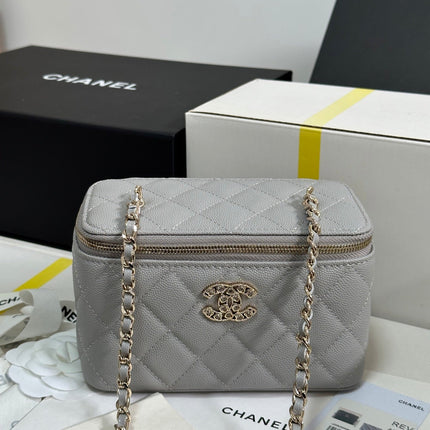 VANITY CASE 17 CRYSTAL STUDDED LOGO IN GREY CALFSKIN GOLD HARDWARE
