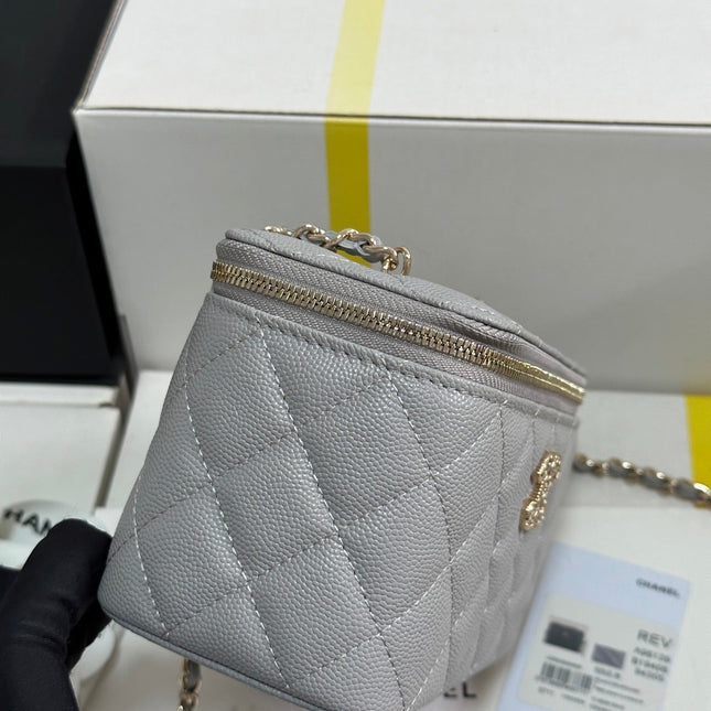 VANITY CASE 17 CRYSTAL STUDDED LOGO IN GREY CALFSKIN GOLD HARDWARE