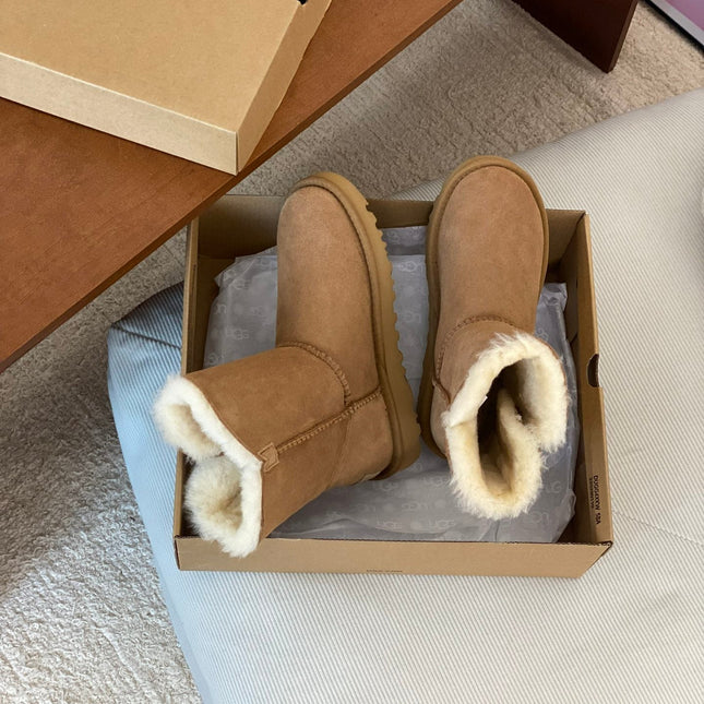 CLASSIC BAILEY BOOTS WITH BUTTONS IN CIDER BROWN SUEDE AND WOOL LINED