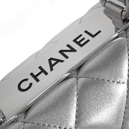 CC MINI 19 FLAP BAG IN SILVER CALFSKIN