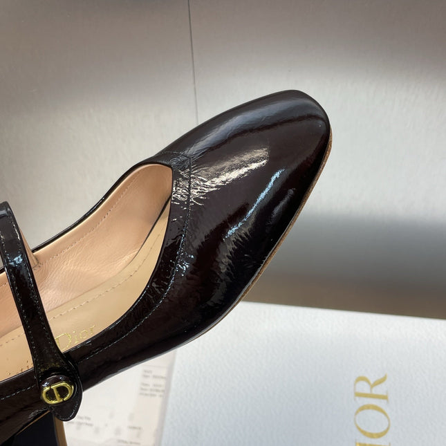 DIOR 25S ROUND-TOE MARY JANE BALLET FLATS IN DARK BROWN CALFSKIN