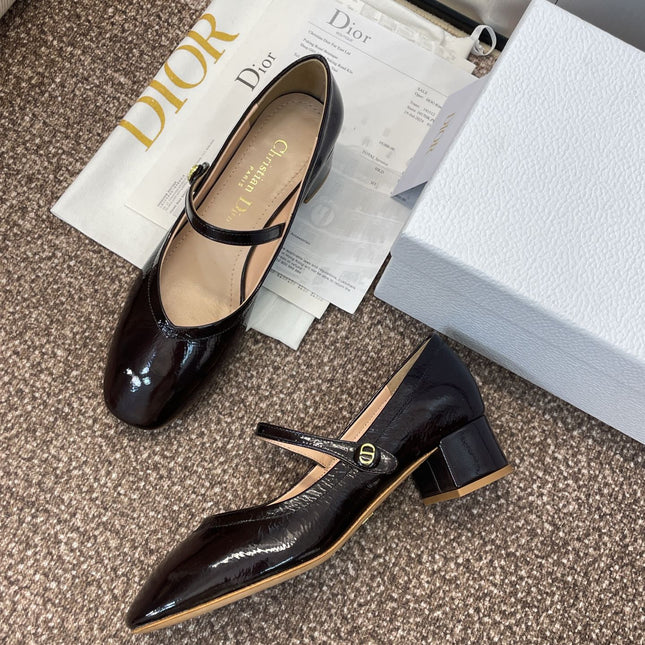 DIOR 25S ROUND-TOE MARY JANE BALLET FLATS IN DARK BROWN CALFSKIN