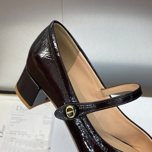DIOR 25S ROUND-TOE MARY JANE BALLET FLATS IN DARK BROWN CALFSKIN