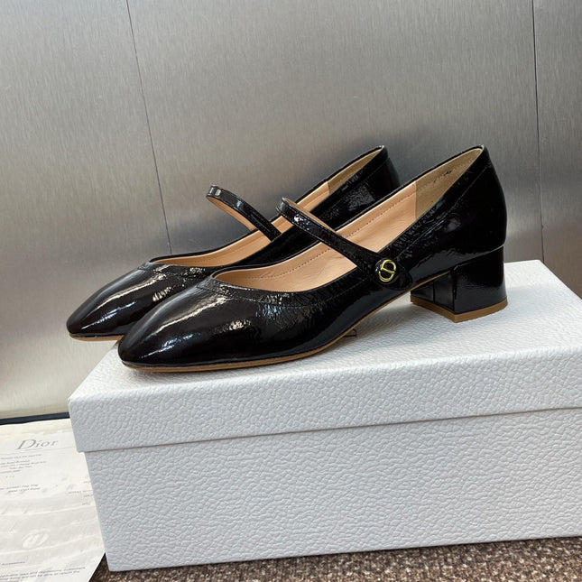 DIOR 25S ROUND-TOE MARY JANE BALLET FLATS IN DARK BROWN CALFSKIN