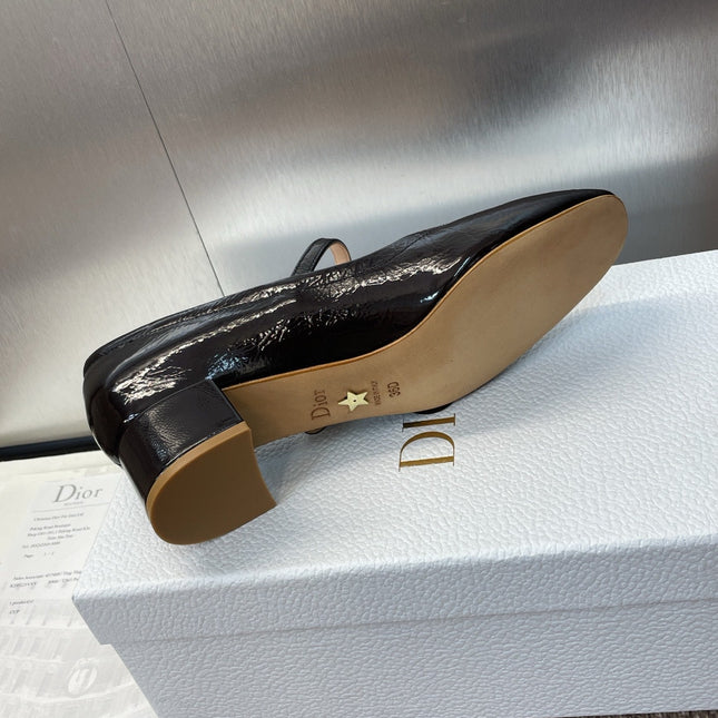 DIOR 25S ROUND-TOE MARY JANE BALLET FLATS IN DARK BROWN CALFSKIN