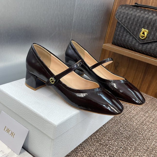 DIOR 25S ROUND-TOE MARY JANE BALLET FLATS IN DARK BROWN CALFSKIN