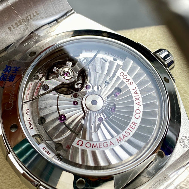 CONSTELLATION 41 MM WATCH SILVER CASE WITH GRAY PASTEL DIAL